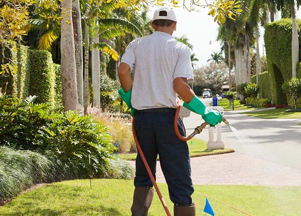 About Garrison IA Pest Control